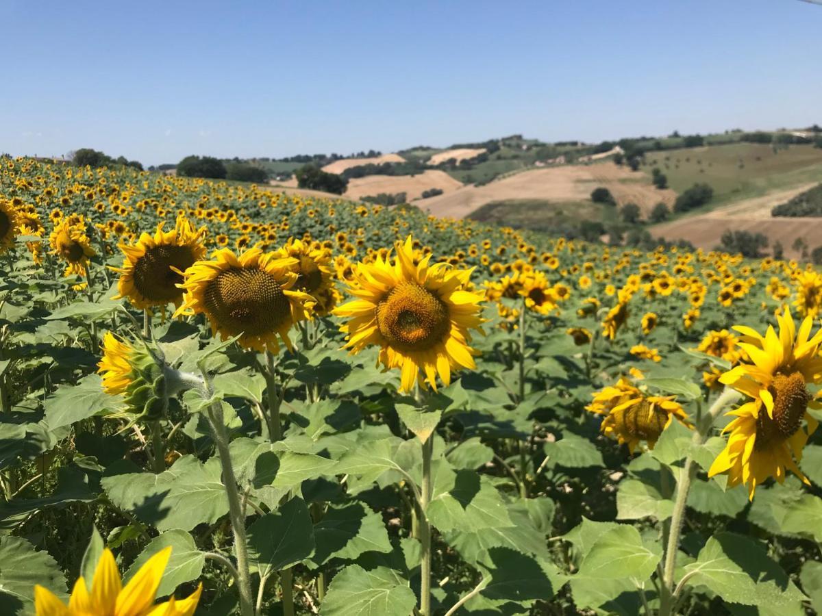 Il Posto Perfetto Bed & Breakfast Santa Maria Nuova  Bagian luar foto