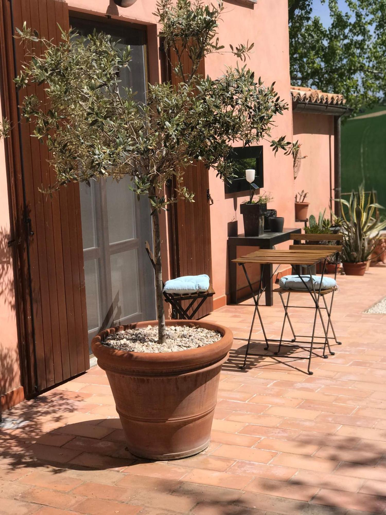 Il Posto Perfetto Bed & Breakfast Santa Maria Nuova  Bagian luar foto