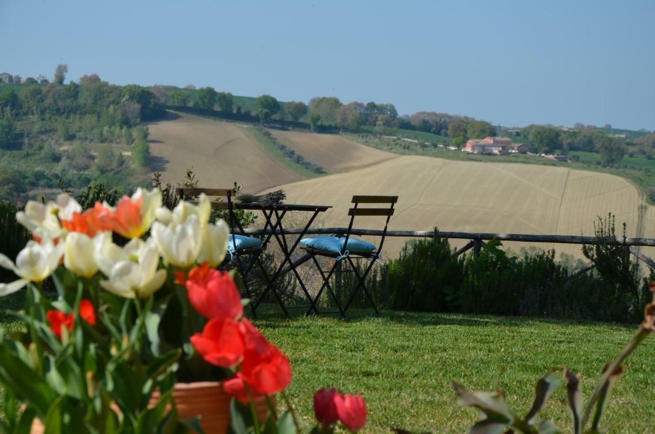 Il Posto Perfetto Bed & Breakfast Santa Maria Nuova  Bagian luar foto