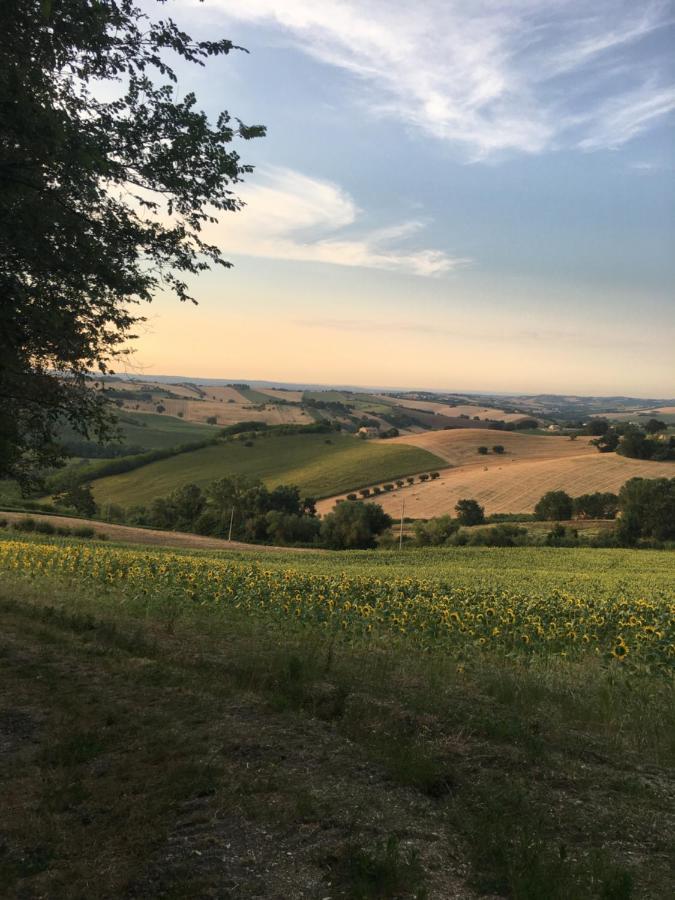 Il Posto Perfetto Bed & Breakfast Santa Maria Nuova  Bagian luar foto